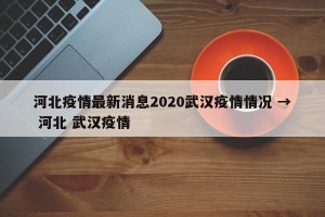 河北疫情最新消息2020武汉疫情情况 → 河北 武汉疫情
