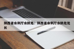 陕西省水利厅水防处：陕西省水利厅水防处处长