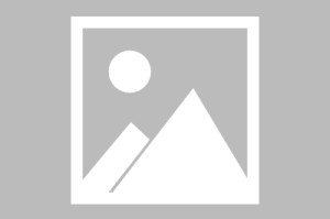 必备教程“手机上打字牌怎么老是输”(详细透视教程)-