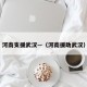 河南支援武汉—（河南援助武汉）