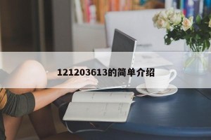 121203613的简单介绍
