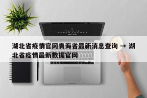 湖北省疫情官网青海省最新消息查询 → 湖北省疫情最新数据官网
