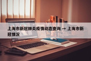 上海市新冠肺炎疫情动态查询 → 上海市新冠情况