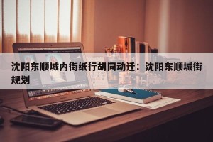 沈阳东顺城内街纸行胡同动迁：沈阳东顺城街规划
