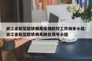 浙江省新型冠状病毒疫情防控工作领导小组：浙江省新型冠状病毒肺炎领导小组
